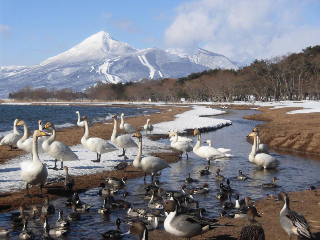 Lakeside Banko Hotel Inawashiro Esterno foto